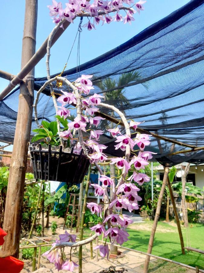 Ngoc An Bang Villa Luaran gambar